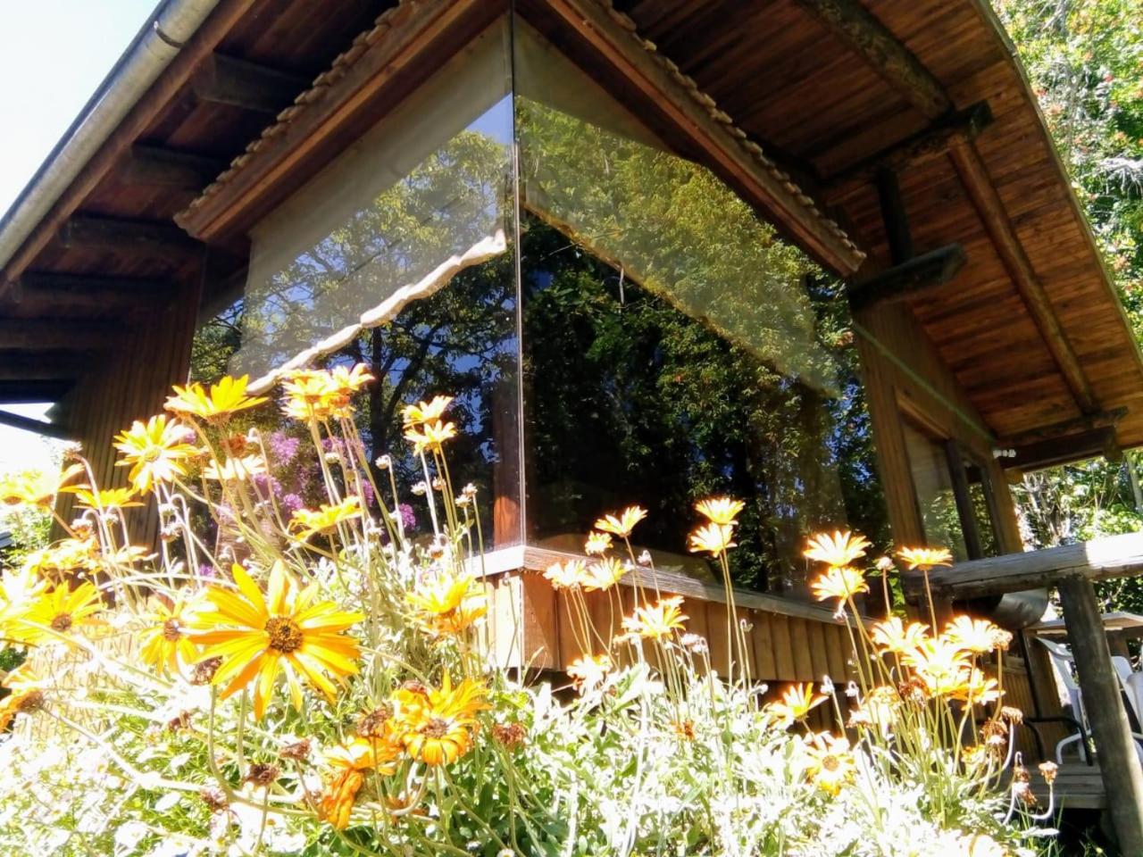 Cabanas El Cipres Pucón Exteriör bild