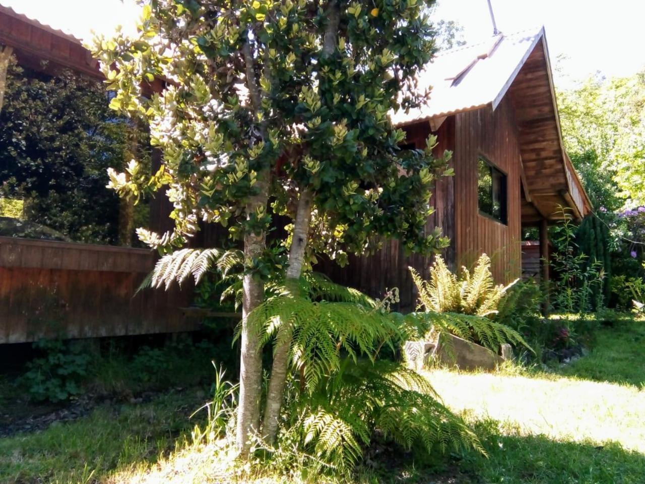 Cabanas El Cipres Pucón Exteriör bild