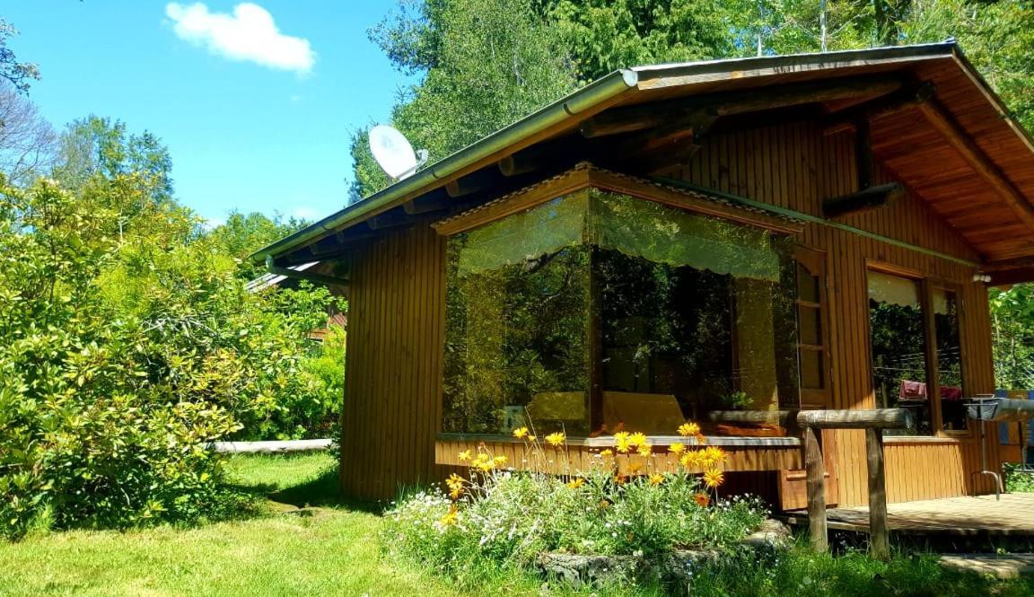 Cabanas El Cipres Pucón Exteriör bild
